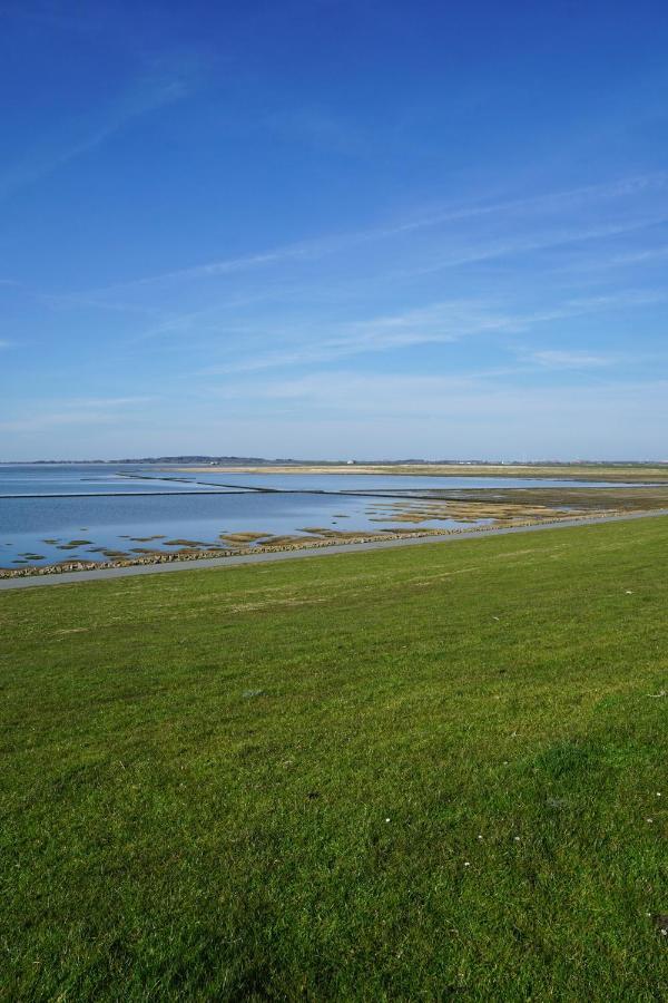 Апартаменты Ferienhus #2 Nordfriesland Mildstedt Экстерьер фото